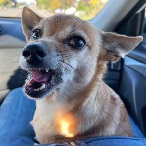 Meet your Posher, Jeff